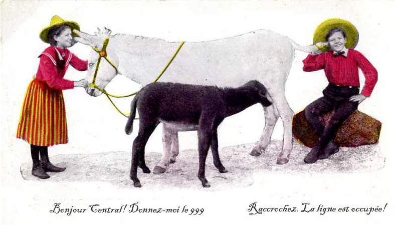 Carte postale humoristique datant des années 1910 où un cheval est utilisé à titre de téléphone.