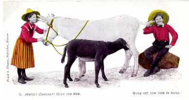 A 1910’s humoristic postal card showing a horse being used as a telephone.