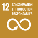 ODD numéro 12 : Consommation et production responsables