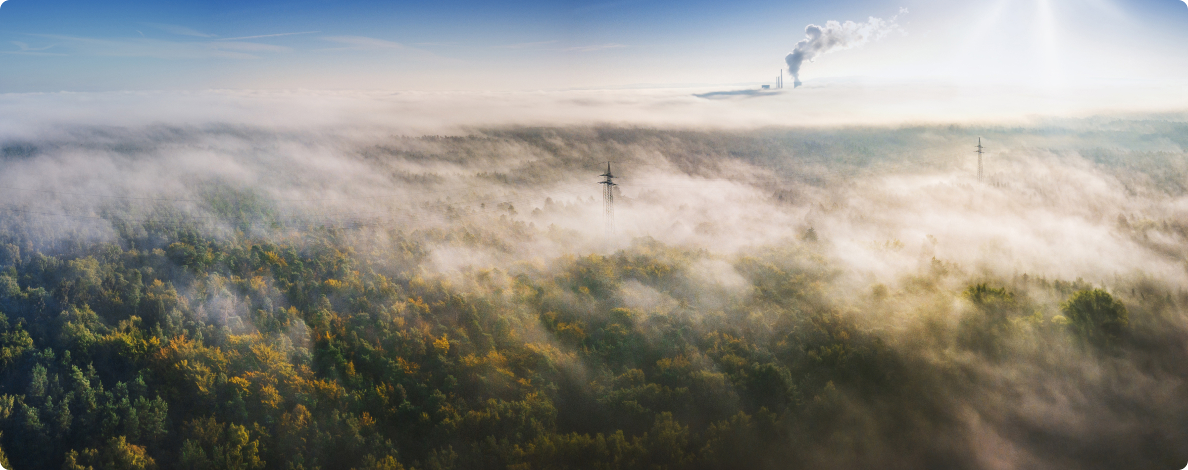 Cime des arbres de la forêt tropicale avec brouillard planant